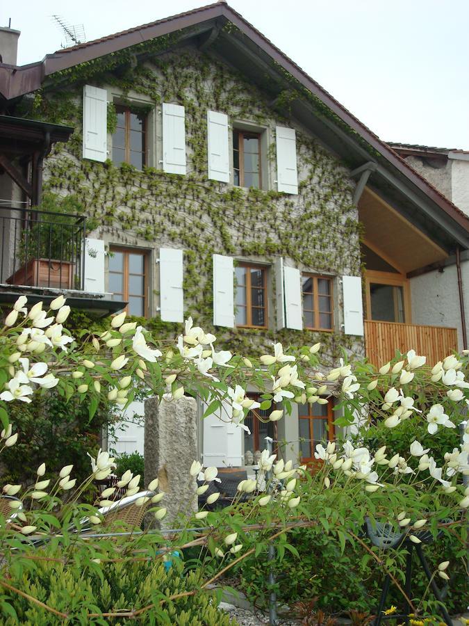 Wonderlandscape Guest House Le Grand Saconnex Εξωτερικό φωτογραφία